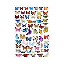 66'lı Fairycore Kelebek Sticker Seti - Etiket Seti Scrapbook Bullet Journal Çok Renkli