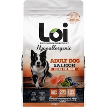 Loi Hipoalerjenik Somonlu Yetişkin Köpek Maması 3 KG