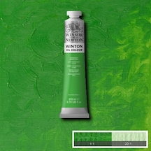 Wn Winton Yağlı Boya 200 ML No:48 Permanent Green Light