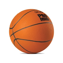Sklz Pro Mini 5'' Fm Ball Pdq-hp14 1721