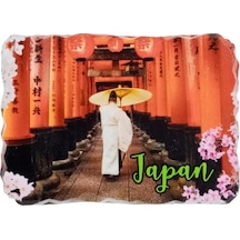 Japonya Temalı Kırık Magnet