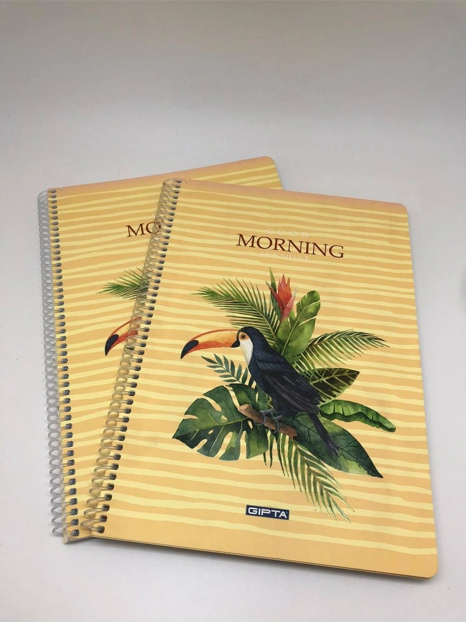 Morning Spiralli Karton Kapak A4 80 Yaprak Kareli Defter 2'li