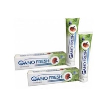Gano Fresh Reishi  Diş Macunu 2 x 150 G