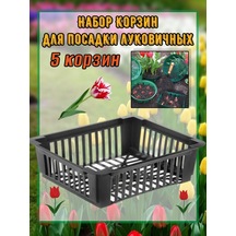 Domdacaogorod Soğanlı Bitkiler Ve Kelebek Yetiştirme Sepeti 263098583