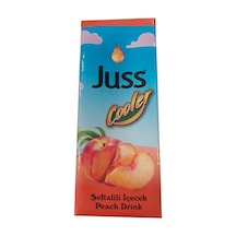 Juss Cooler Şeftalili İçecek 27 x 200 ML