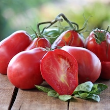 İtalian Red Pear Domates Tohumu 15 Tohum