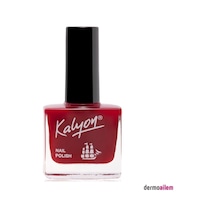 Lexroo Nail Polish No:208 11 Ml