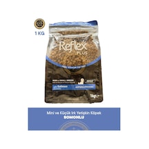 Reflex Plus Somonlu Mini Ve Küçük Irk Yetişkin Köpek Maması 1kg