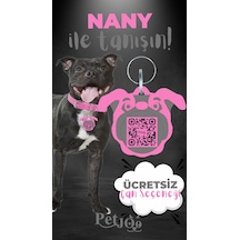 Petjoo 17.Nany Gri-Pembe Qr'lı Köpek Künyesi