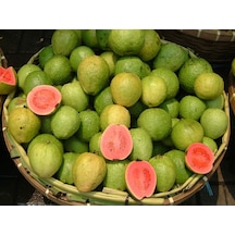 Guava Tohumu 10 Adet N11444