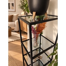 Teknor Siyah Çerçeveli Füme Cam Modern Salon Kitaplığı 40 Cm