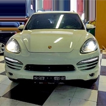 Megamarket06 Porsche Cayenne D1s Xenon Ampul 4300k