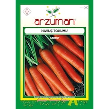 Havuç Tohumu, 10gr