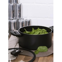 Berndes 442052 B.Green Induction Tencere 24 CM