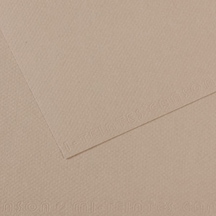Canson Fon Kartonu Dokulu Mı-teıntes Sh Canmt 50x65 160 Gr Grey 122 Çok Renkli