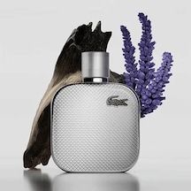 Lacoste L.12.12 Silver Grey Erkek Parfüm EDP 50 ML