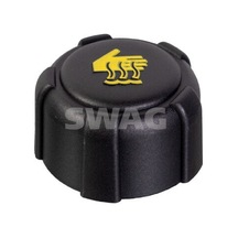 Radyatör Yedek Su Deposu - Fiat Talento - Swag-60922085