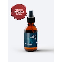 The Base - PET Gümüş Hidrosolü Sprey 100 ML