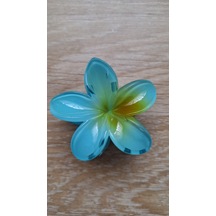 Bayan Renkli Lotus Dişli Toka Mavi