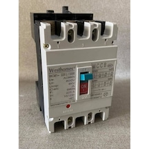 Westhomes 225A 8Kv Kaçak Akım Korumalı Şalter Wcm1-225L/3300 Bağl