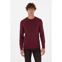 U.s. Polo Assn. Erkek Plum Kazak /triko 50315748-vr177 New Plum