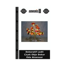 Çok Renkli