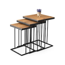 Elit C Zigon Sehpa 3'lü Metal Ayak 001