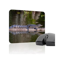 Timsah Kaymaz Dikişli Kauçuk Oyuncu Mousepad V3 - 22x18 Gaming Mouse Pad Fare Altlığı
