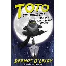 Toto The Ninja Cat And The Great Snake Escape: Book 1 9781444939453
