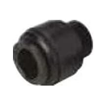 Gıda Rekoru Dişi Körtapa 10mm