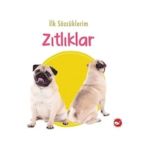 İlk Sözcüklerim - Zıtlıklar- Beyaz Balina Yayınları