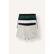 Defacto Baskılı Elastik Bel 3lü Boxer Set Erkek Çocuk I3863a826auwt34 Beyaz-wt34