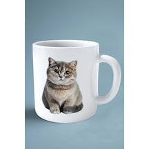 Foldex Kedisi Kedi İsimli Kişiye Özel Baskılı Kupa Bardak Model 7 Çok Renkli
