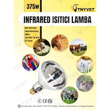 Infrared Isıtıcı Lamba 375 Watt