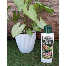 Bitki Besini 1 Adet 225 Ml Yeşil Yapraklı Bitkiler Için Sıvı Gübre Vitamini Benjamin Diğer