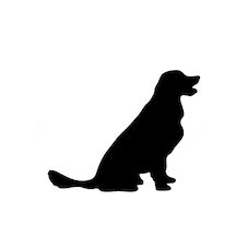 Golden Köpek Sticker Yapıştırma Etiket 17Cm