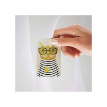 Çizgili Pijamalı Gözlüklü Kedi Temalı Kredi/banka Kartı Kaplama Sticker Tekli Standart