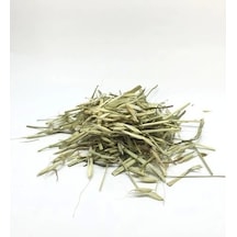 Dvd Lokman Aktar Yulaf Samanı 20 G