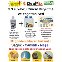 Yavru Civciv Büyütme Ve Yaşatma Seti - Civciv Vitamini, Probiyotik Ve İç Temizleyici Takviye Seti