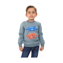 Toontoy Kids Toontoy Erkek Çocuk Relax Fit Bisiklet Yaka Baskılı Sweatshirt - 2iplik Mint