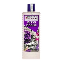 Tropikal Besin Bitkisi 6 Adet Menekşe 1000 Ml