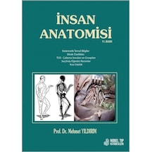 İnsan Anatomisi- Nobel Tıp Kitabevleri