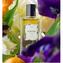 Ixora Waow Parfüm 100 Ml Diğer