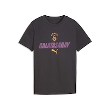 Puma Galatasaray Ftblculture Genç Tişört 786845 19 Gri