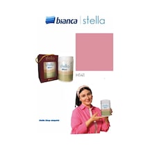 Stella Su Bazlı Saf Akrilik Boya 500ml - H141