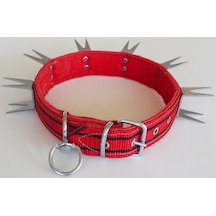 Le-Sar Kolon Çatal U Çivili Tasma 4 CM 70 CM (Ls-804) Çok Renkli