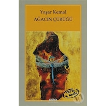 Yapı Kredi Yayınları Ağacın Çürüğü