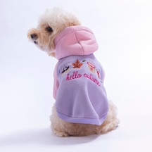 Pembe Vermont Autumn Köpek Hoodie Köpek Sweat Köpek Kıyafeti Kedi Kıyafeti