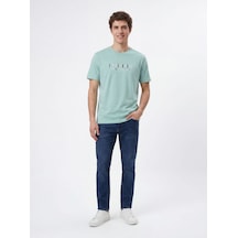 Mint Yeşili