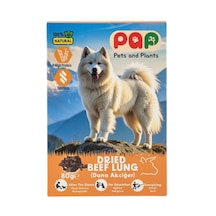 Pets And Plants Pap Dana Akciğer Sakat Et 80 G